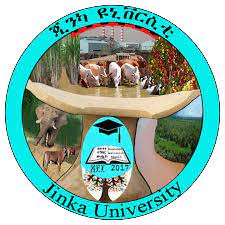 Jinka University Vacancy