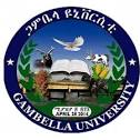 Gambella University