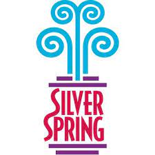 silver spring production & promotion plc vacancy in ethiopia