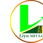 Liyu Micro Finance Institution