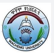 New Job at Wachemo University